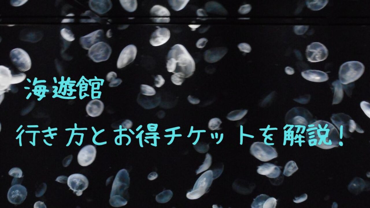 海遊館の行き方とお得なチケットを解説
